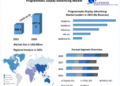 Programmatic Display Advertising Market is expected to boost by growing at a CAGR of 14.3% through 2022-2029: Advanced Technology, Digital Marketing and Retail Media Frameworks