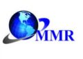 Oil Storage Terminal Market to grow at a CAGR of 4.4 percent to reach USD 42.54 Bn by 2029
