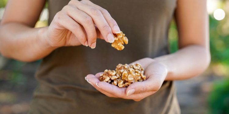Walnuts Among Omega-3 Foods Linked to Brain Development Benefits in Children and Adolescents
