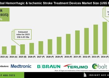 Hemorrhagic and Ischemic Stroke Treatment Devices Market Insights Trends and Forecast