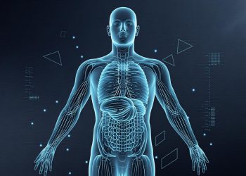 $61.97 Billion by 2029 — How AI-Powered Reconstruction and Spatial Computing Are Transforming Visual Intelligence