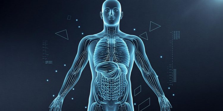 $61.97 Billion by 2029 — How AI-Powered Reconstruction and Spatial Computing Are Transforming Visual Intelligence