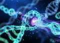 $2.1 Billion by 2035 — How Next-Generation Sequencing and Liquid Biopsy Are Transforming Precision Medicine